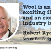 Robert Ryan Wool Academy Podcast 029