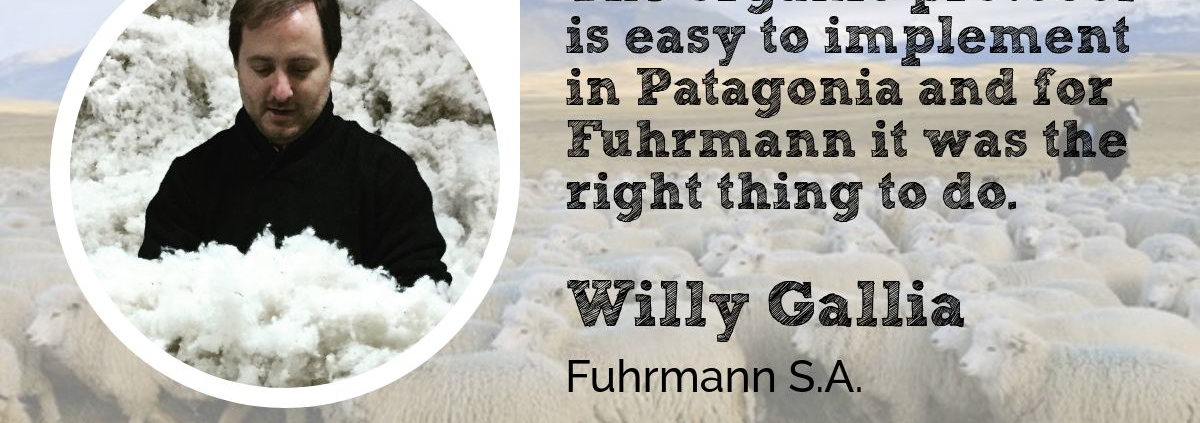 Willy Gallia Fuhrmann Wool Acacemy Podcast 45