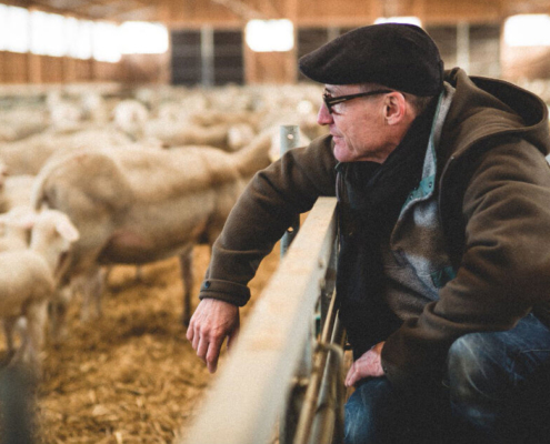 Gerhard Schoppel from Schoppel Wolle at Wool Academy Podcast