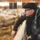 Gerhard Schoppel from Schoppel Wolle at Wool Academy Podcast