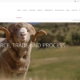 Gschneider website