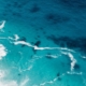 Microplastics