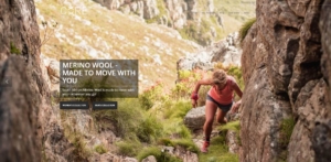 Core Merino Webseite