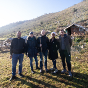 The Flock Wool Team